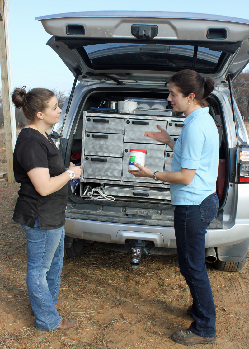 IMG_7275 Mobile Horse Doc Mobile Horse Doc